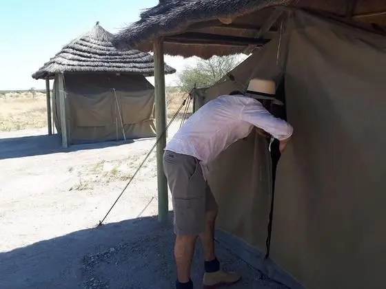 Basic Çadır
