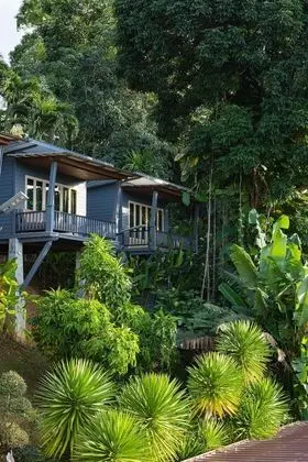 Tropical Room