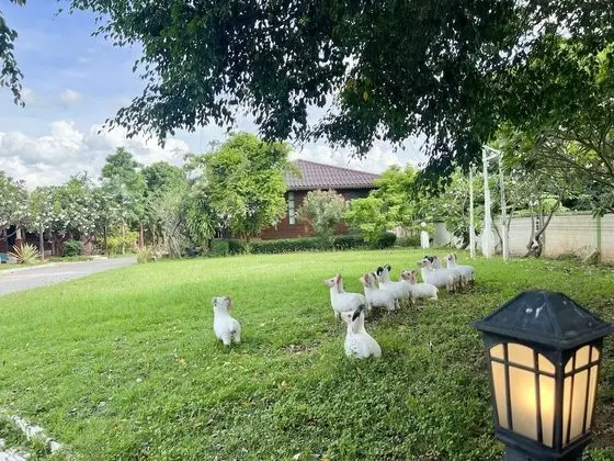 Bungalov, 2 Tek Kişilik Yatak
