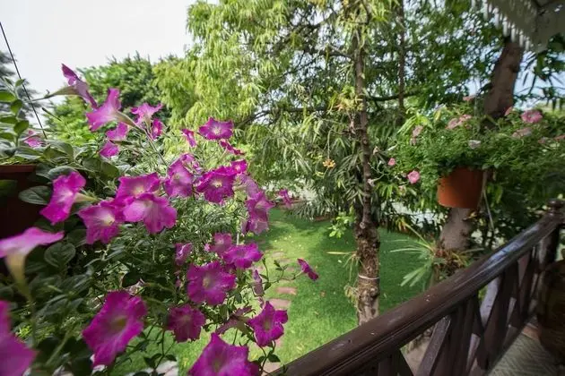 Tek Büyük Yataklı Oda, Nehir Manzaralı