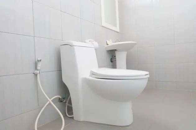Deluxe Oda, 1 Yatak Odası, Sigara İçilmez, Liman Manzaralı