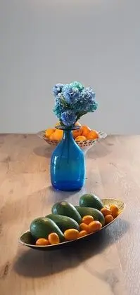 Oturma alanı