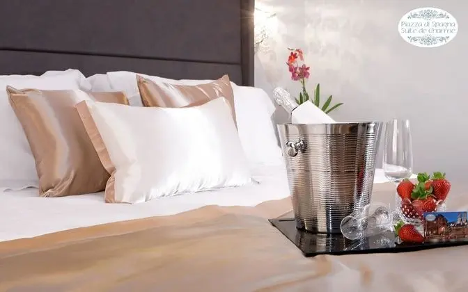 Tek Büyük Yataklı Oda (Classic Charme Belsiana)