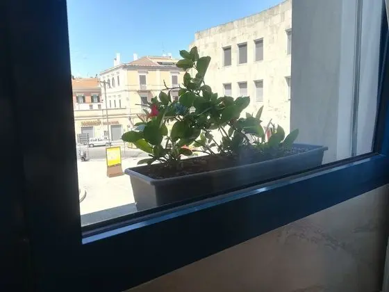 Executive Tek Büyük Yataklı Oda