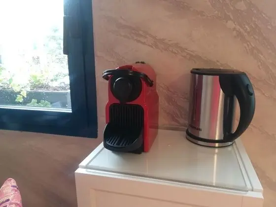 Executive Tek Büyük Yataklı Oda