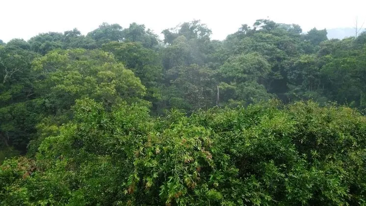 Panoramic Dört Kişilik Oda, Birden Çok Yatak, Dağ Manzaralı