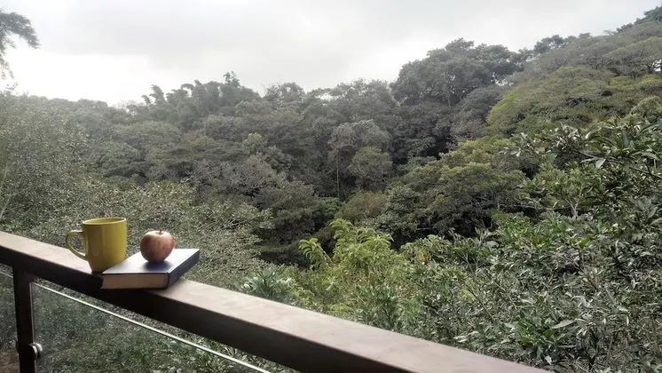 Panoramic Dört Kişilik Oda, Birden Çok Yatak, Dağ Manzaralı