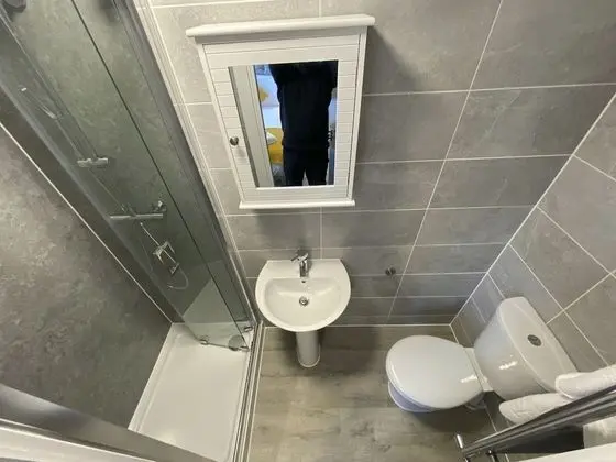 Deluxe Tek Büyük Yataklı Oda, Banyolu/Duşlu (Piccadilly )