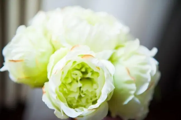 Tek Büyük veya İki Ayrı Yataklı Oda, Banyolu/Duşlu