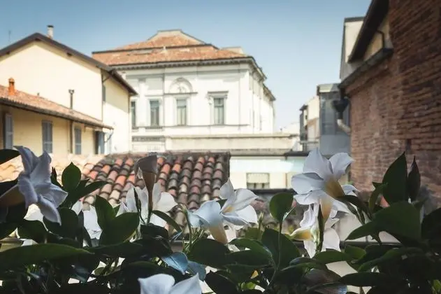 Superior Süit (Mauve)