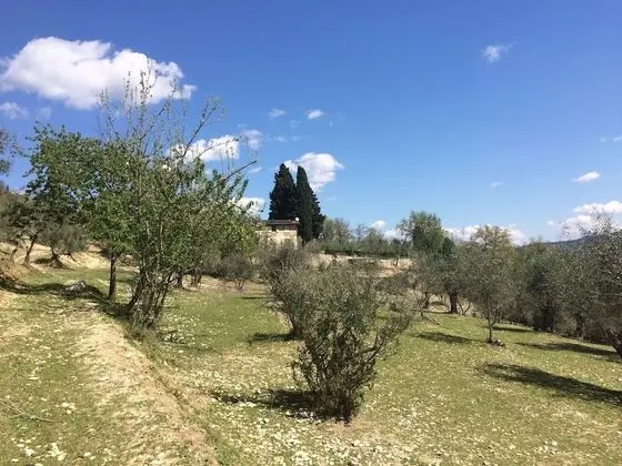 Superior Apart Daire, 1 Yatak Odası, Dağ Manzaralı (Leccine)