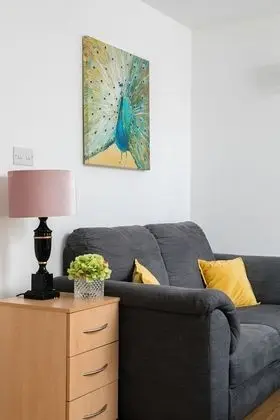 Deluxe Stüdyo (0 Bedroom)