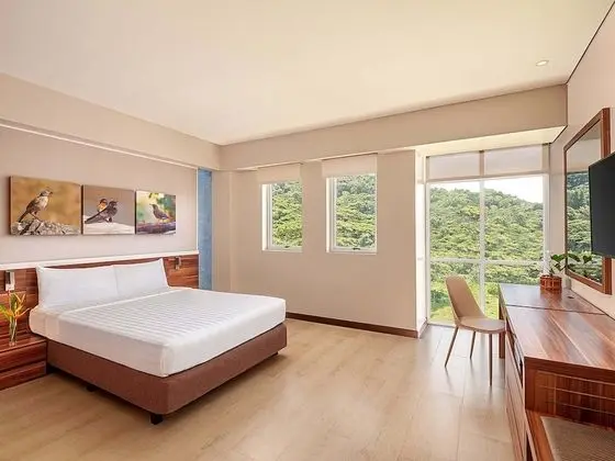 Standard Mountain View