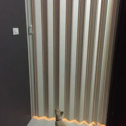 Mixed Dorm Fan