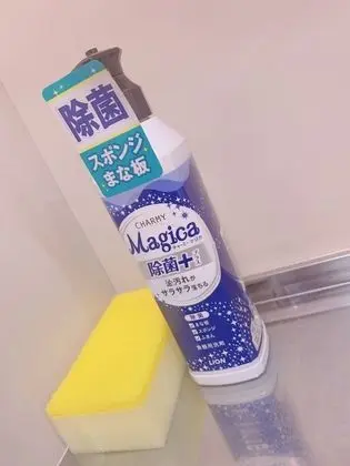 Premium Dört Kişilik Oda