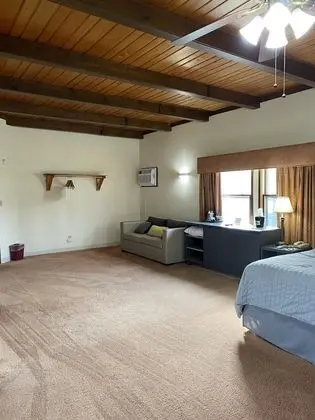 Süit, Birden Çok Yatak, Şömine (King Fireplace Suite)