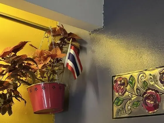 Deluxe Oda, Karma Ranzalı Oda, Sigara İçilmez, Şehir Manzaralı