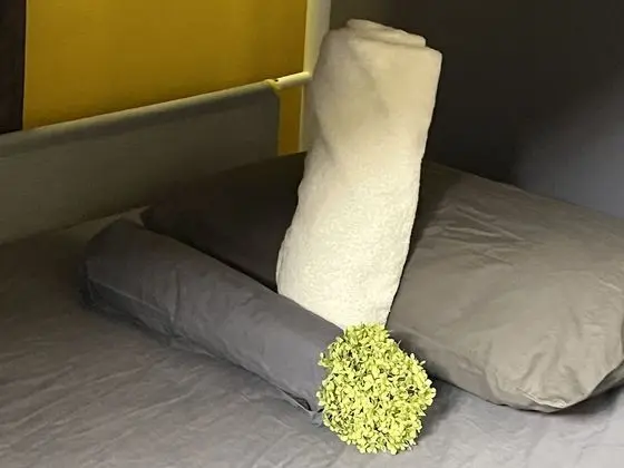 Deluxe Oda, Karma Ranzalı Oda, Sigara İçilmez, Şehir Manzaralı