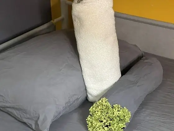 Deluxe Oda, Karma Ranzalı Oda, Sigara İçilmez, Şehir Manzaralı