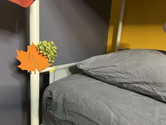 Deluxe Oda, Karma Ranzalı Oda, Sigara İçilmez, Şehir Manzaralı