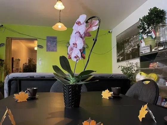 Deluxe Ortak Ranzalı Oda