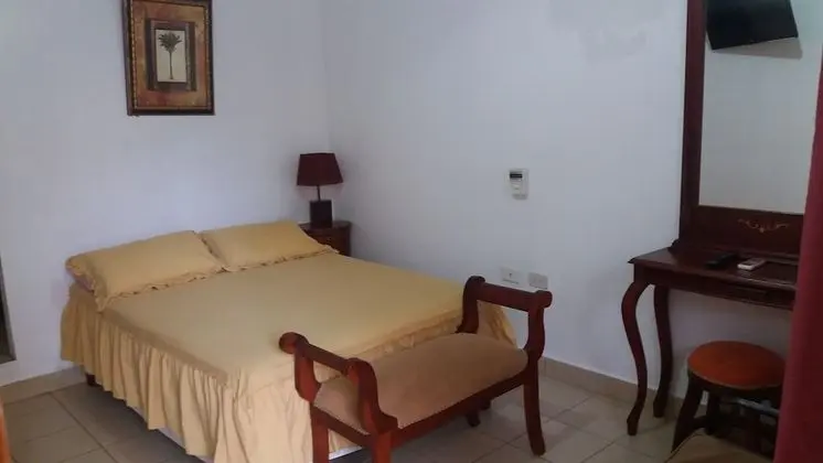 Standard Tek Büyük Yataklı Oda, 1 Çift Kişilik Yatak