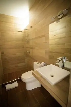 Deluxe Stüdyo Süit, 1 Büyük (Queen) Boy Yatak, Banyolu/Duşlu