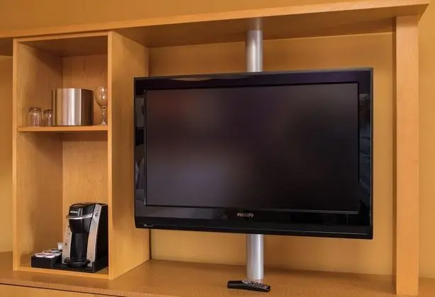 Televizyon