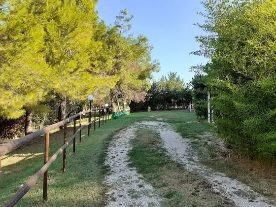 Classic Üç Kişilik Oda