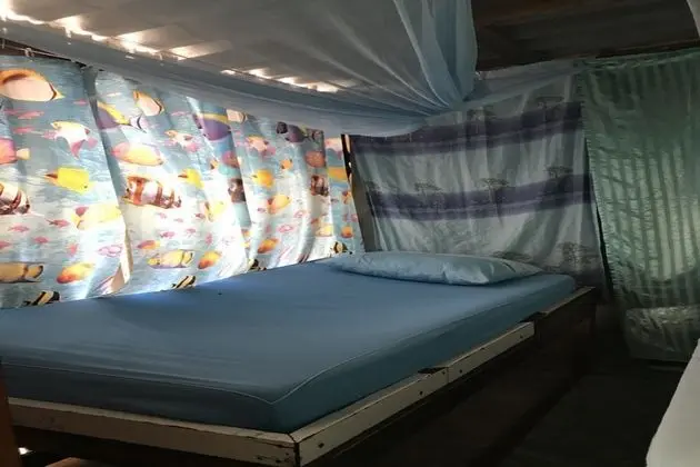 Mixed Shared Dormitory