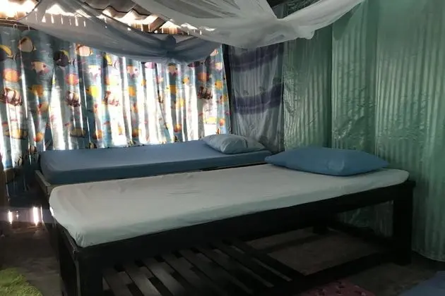Mixed Shared Dormitory