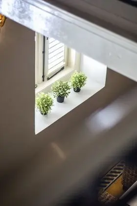Çatı Katı (Loft) (Split Level)