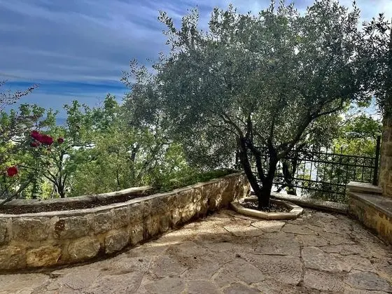 Comfort Tek Büyük Yataklı Oda, Bahçe Manzaralı