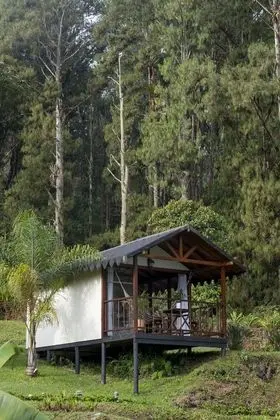 Bungalov