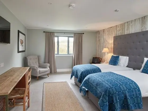 Tek Büyük veya İki Ayrı Yataklı Oda, Banyolu/Duşlu (Twin/Double)