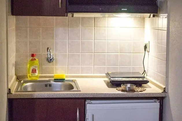 Family Stüdyo, 2 Çift Kişilik Yatak, Şehir Manzaralı