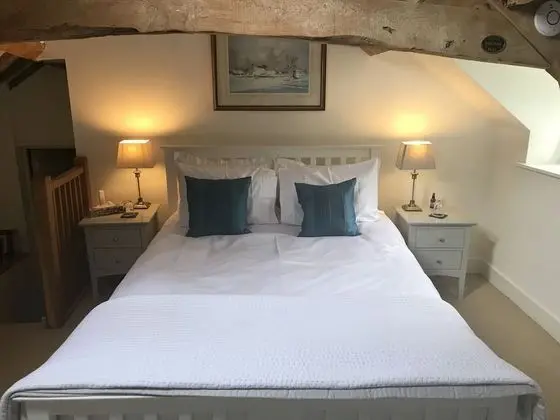 Tek Büyük Yataklı Oda (Duck Room)