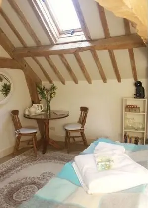 Tek Büyük Yataklı Oda (Duck Room)