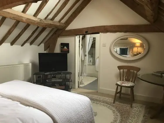 Tek Büyük Yataklı Oda (Duck Room)