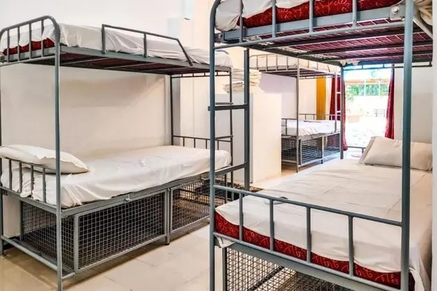 10 Bed AC Mixed Dorm
