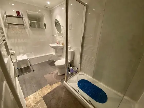 Basic Tek Büyük Yataklı Oda, Özel Banyo