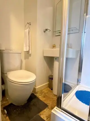 Standard Tek Büyük Yataklı Oda, Banyolu/Duşlu