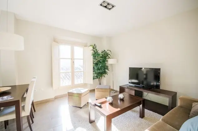 Superior Apart Daire, 1 Yatak Odası (Calle Carreteria 31, 39,  48, 68)