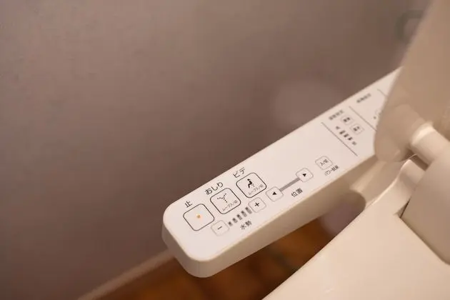 Basic Ev (PINE, in ISHIGAKI)