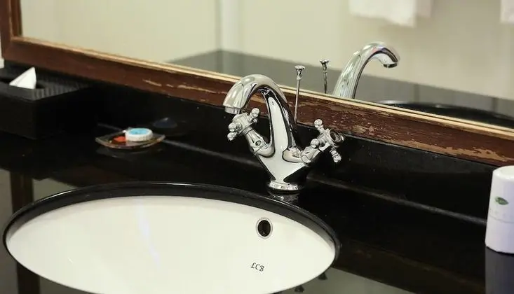 Standard Tek Büyük Yataklı Oda, Bahçe Manzaralı