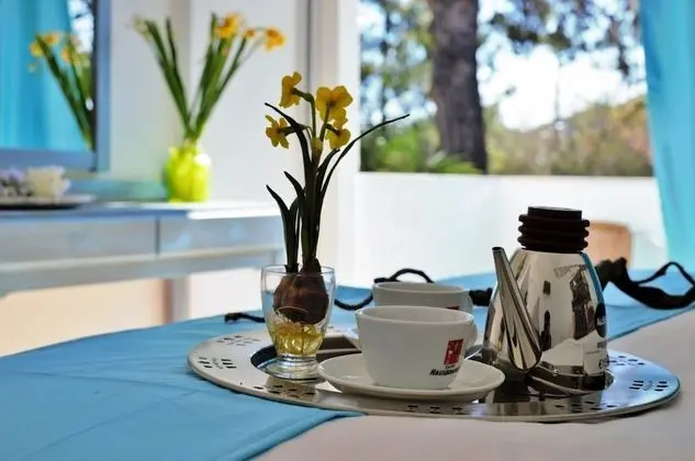 Deluxe Tek Büyük Yataklı Oda, 1 Çift Kişilik Yatak, Bahçe Manzaralı