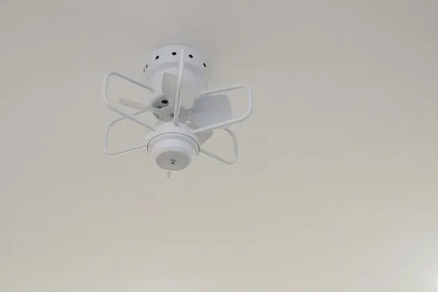 Ev