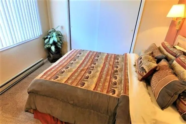 Basic Daire, 1 Yatak Odası