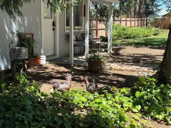 Comfort Kır Evi, 1 Yatak Odası