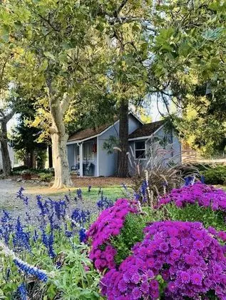 Comfort Kır Evi, 1 Yatak Odası